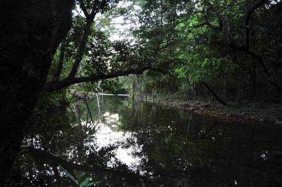 Os 'poções', piscinas naturais em Natividade - TO
